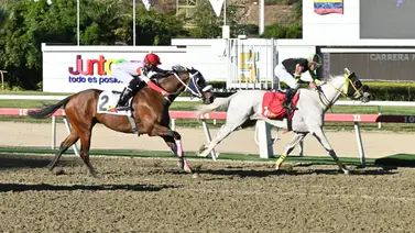 ¡No la dejes fuera! Con el ajuste de la línea de Gaceta Hípica podrá decidir su triunfo en el 5y6 dominical ¡No la dejes fuera! Con el ajuste de la línea de Gaceta Hípica podrá decidir su triunfo en el 5y6 dominical