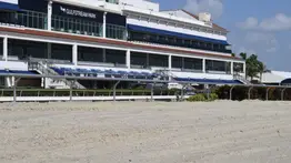 Hala Madrid... ¡y a cobrar!: Bernabeu salta como favorito en la Tapeta de Gulfstream Park