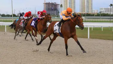 Pronósticos Gulfstream Park: picks gratis y el dato clave para el jueves 19 de febrero Pronósticos Gulfstream Park: picks gratis y el dato clave para el jueves 19 de febrero