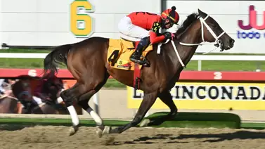 ¡Movimiento en La Rinconada! Ejemplar importado Rozagante estrena cuadra y este es su nuevo entrenador ¡Movimiento en La Rinconada! Ejemplar importado Rozagante estrena cuadra y este es su nuevo entrenador