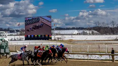 Conoce los detalles tras el anuncio de las dos nuevas carreras elegibles para el Maryland Million Day Conoce los detalles tras el anuncio de las dos nuevas carreras elegibles para el Maryland Million Day