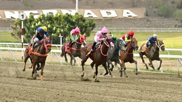 Ajuste cómodo y yunta ganadora: La fórmula perfecta para que esta yegua pueda buscar su primera victoria del año en el 5y6 Ajuste cómodo y yunta ganadora: La fórmula perfecta para que esta yegua pueda buscar su primera victoria del año en el 5y6