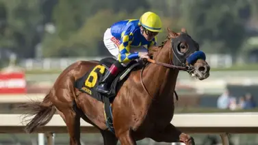 Pedigrí de lujo: Nace el primer hijo de un ganador del Arkansas Derby en República Dominicana Pedigrí de lujo: Nace el primer hijo de un ganador del Arkansas Derby en República Dominicana