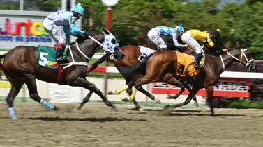 Antes de sellar debes leer esto: La yegua que toda Venezuela tiene de "robo" para el 5y6 de la R09 Antes de sellar debes leer esto: La yegua que toda Venezuela tiene de "robo" para el 5y6 de la R09