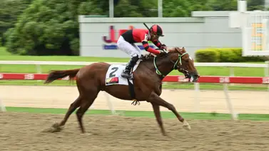 ¿Se escapa solo? Entérate de los datos reveladores que "ponen a valer" a Catire Pedro este domingo en La Rinconada ¿Se escapa solo? Entérate de los datos reveladores que "ponen a valer" a Catire Pedro este domingo en La Rinconada