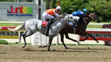 No selles tu 5y6 sin ver esto: Este es el ejemplar que "tronó" en los ajustes y decidirá la victoria para el 5y6 del domingo No selles tu 5y6 sin ver esto: Este es el ejemplar que "tronó" en los ajustes y decidirá la victoria para el 5y6 del domingo