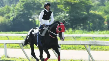 Aprendiz Félix Márquez con varias opciones para ganar el domingo Aprendiz Félix Márquez con varias opciones para ganar el domingo