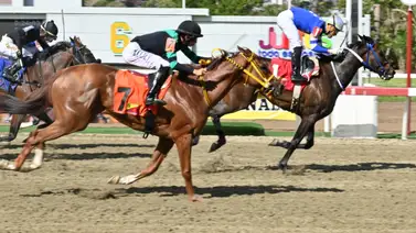 A esta hora: Revelamos los ejemplares con mayor fuerza y la jugada larga para la R09 en La Rinconada A esta hora: Revelamos los ejemplares con mayor fuerza y la jugada larga para la R09 en La Rinconada