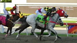 Pronósticos 5y6: Conoce en este momento al dato más corrido que participa en la quinta válida de la R09