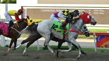 Pronósticos 5y6: Conoce en este momento al dato más corrido que participa en la quinta válida de la R09 Pronósticos 5y6: Conoce en este momento al dato más corrido que participa en la quinta válida de la R09