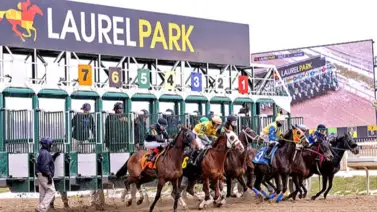 Balboa y Law School, encabezan los Stakes programados para la jornada del sábado en Laurel Park Balboa y Law School, encabezan los Stakes programados para la jornada del sábado en Laurel Park