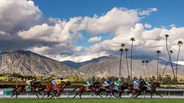 Estos son los ganadores de los premios divisionales de California 2025 y los finalistas al Caballo del Año Estos son los ganadores de los premios divisionales de California 2025 y los finalistas al Caballo del Año