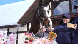 De Irlanda a la gloria eterna: La yegua que cambió la hípica japonesa cumple 35 años