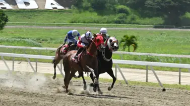 ¡Ojo con Queen Vision! La estadística infalible que la une a Riccardo D’Angelo para el 5y6 dominical ¡Ojo con Queen Vision! La estadística infalible que la une a Riccardo D’Angelo para el 5y6 dominical