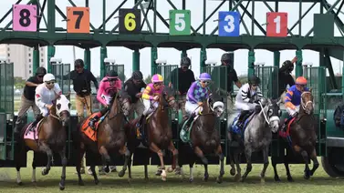 Pronósticos Gulfstream Park: picks gratis y el dato clave para el sábado 21 de febrero Pronósticos Gulfstream Park: picks gratis y el dato clave para el sábado 21 de febrero