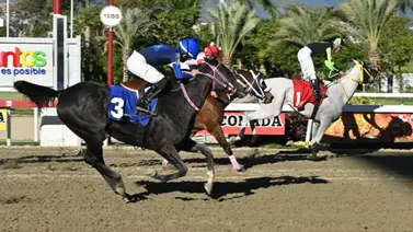 Ojo con esto: Retiro decisivo altera la quinta válida del 5y6 dominical en La Rinconada Ojo con esto: Retiro decisivo altera la quinta válida del 5y6 dominical en La Rinconada