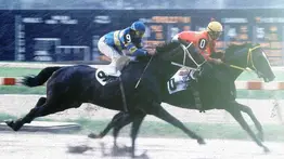 Recordar es vivir: Hace 25 años partió hacia la eternidad un gran Triple Coronado Venezolano. Descubre de quién se trata