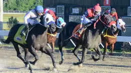 Entrenadores venezolanos campeones en Dominicana reciben galardón hípico