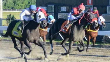 Entrenadores venezolanos campeones en República Dominicana reciben galardón hípico Entrenadores venezolanos campeones en República Dominicana reciben galardón hípico