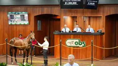 Primeras imágenes: El millonario hijo de la venezolana Cacciatora calienta motores en las pistas de Ocala Primeras imágenes: El millonario hijo de la venezolana Cacciatora calienta motores en las pistas de Ocala