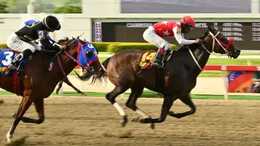 Esto es importante: ¿Podrá está yegua romper el "maleficio del 14" en el 5y6? Aquí te lo contamos Esto es importante: ¿Podrá está yegua romper el "maleficio del 14" en el 5y6? Aquí te lo contamos