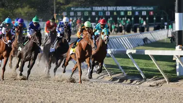 César González abre la cuota de venezolanos del sábado en Tampa Bay Down César González abre la cuota de venezolanos del sábado en Tampa Bay Down