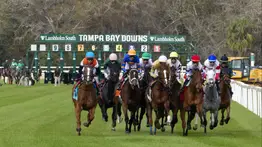 Jockeys venezolanos generan un Daily Double de $56.70 en Tampa Bay Downs