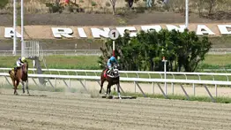 A revisar los cuadros: Jockey internacional no podrá cumplir sus montas en La Rinconada y este jinete venezolano lo sustituye