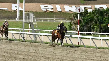 Fleet Street confirma su momento y se queda con la Condicional de la reunión nueve Fleet Street confirma su momento y se queda con la Condicional de la reunión nueve