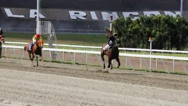 Asi quedaron los resultados del domingo en La Rinconada 22-02-2026 Asi quedaron los resultados del domingo en La Rinconada 22-02-2026