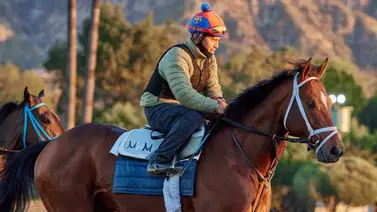 Journalism, regresó a los trabajos matutinos para la campaña de cuatro años Journalism, regresó a los trabajos matutinos para la campaña de cuatro años