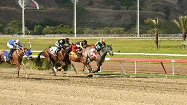 ¿Qué le pasó? Acá tienes el informe del jockey de Miss Coco que no pudo en la segunda válida ¿Qué le pasó? Acá tienes el informe del jockey de Miss Coco que no pudo en la segunda válida