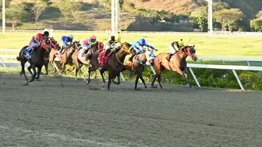 ¿Quedó en deuda? El jockey de Keep On Rockin informó a los comisarios y el acta revela detalles inesperados sobre su desempeño ¿Quedó en deuda? El jockey de Keep On Rockin informó a los comisarios y el acta revela detalles inesperados sobre su desempeño