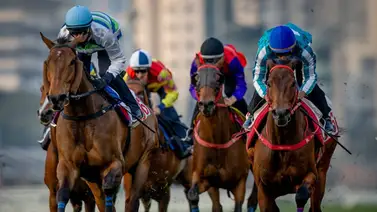 Regresa la leyenda: Romantic Warrior, el caballo más rico del mundo busca la segunda pata de la triplecorona de Hong Kong Regresa la leyenda: Romantic Warrior, el caballo más rico del mundo busca la segunda pata de la triplecorona de Hong Kong