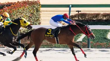 ¡Chico afortunado! suma 30 puntos desde Japón para el Kentucky Derby ¡Chico afortunado! suma 30 puntos desde Japón para el Kentucky Derby