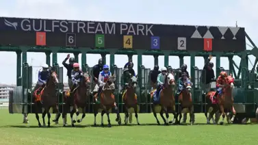 Gulfstream Park, está en la ruta al Kentucky Derby y Kentucky Oaks para cerrar febrero Gulfstream Park, está en la ruta al Kentucky Derby y Kentucky Oaks para cerrar febrero