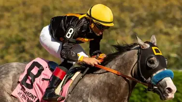 Gulfstream Park: En el Fountain of Youth Stakes G2 se enfrentan 11 potros que buscan 50 puntos en la ruta al Kentucky Derby Gulfstream Park: En el Fountain of Youth Stakes G2 se enfrentan 11 potros que buscan 50 puntos en la ruta al Kentucky Derby