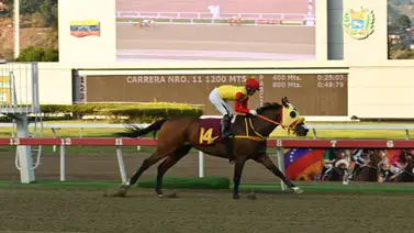 Contundencia en 1.200 metros: Preciosa domina y tumba una coincidencia estadística de ocho meses en La Rinconada Contundencia en 1.200 metros: Preciosa domina y tumba una coincidencia estadística de ocho meses en La Rinconada