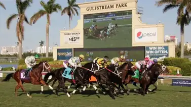 Gulfstream Park distribuirá más de 2 millones de dólares, un mes antes del final Championship Meet Gulfstream Park distribuirá más de 2 millones de dólares, un mes antes del final Championship Meet