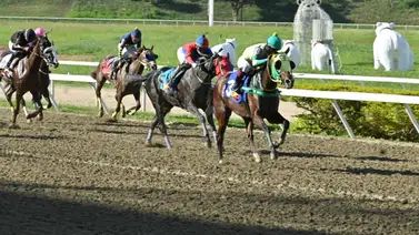 Cuentas pendientes en La Rinconada: La gran favorita de la afición reaparece tras 91 días de ausencia Cuentas pendientes en La Rinconada: La gran favorita de la afición reaparece tras 91 días de ausencia