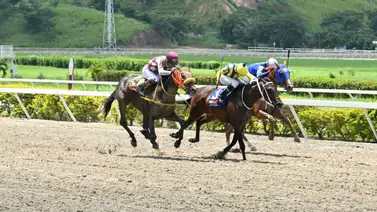 Calidad vs. Inactividad: El desafío del ejemplar que todos esperan desde su debut en La Rinconada Calidad vs. Inactividad: El desafío del ejemplar que todos esperan desde su debut en La Rinconada