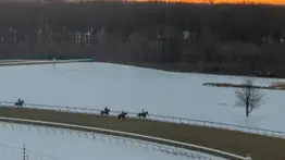 Semana sin carreras en Park Racing: Cancelada jornada del miércoles 