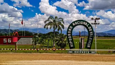 594 días después: El enigma de un ejemplar que desafía al tiempo este sábado en Hinava 594 días después: El enigma de un ejemplar que desafía al tiempo este sábado en Hinava