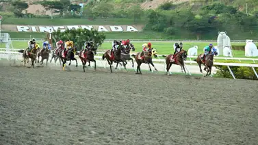 Duelo de castas en el óvalo de Coche: Los herederos de Tapit, Curlin y Gun Runner por la gloria dominical Duelo de castas en el óvalo de Coche: Los herederos de Tapit, Curlin y Gun Runner por la gloria dominical