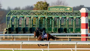 El Central Bank Ashland G1 de $750,000 en Keeneland atrae a 65 nominadas lideradas por la campeona dosañera Super Corredora El Central Bank Ashland G1 de $750,000 en Keeneland atrae a 65 nominadas lideradas por la campeona dosañera Super Corredora