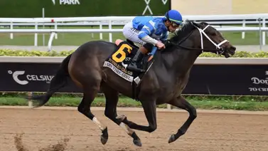 Kentucky Oaks: On Time Girl, busca su quinta victoria en los $225,000 del Davone Sale Stakes G2 en Gulfstream Park Kentucky Oaks: On Time Girl, busca su quinta victoria en los $225,000 del Davone Sale Stakes G2 en Gulfstream Park