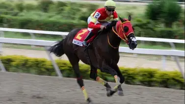 Poder paterno en La Rinconada: El semental Tap Daddy domina la nómina de la segunda carrera Poder paterno en La Rinconada: El semental Tap Daddy domina la nómina de la segunda carrera