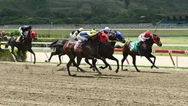 ¿Victoria asegurada?: El ejemplar que estrena cuadra con Di Luca y desafía a la lógica este domingo en La Rinconada ¿Victoria asegurada?: El ejemplar que estrena cuadra con Di Luca y desafía a la lógica este domingo en La Rinconada