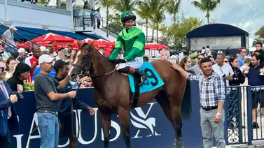 Flavien Prat a imponer su ley: El "Rey de los Stakes de Grado" busca la gloria entre Florida y Arkansas Flavien Prat a imponer su ley: El "Rey de los Stakes de Grado" busca la gloria entre Florida y Arkansas