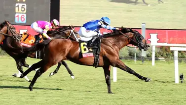 Cita con la Historia: ¿Podrá Fort Washington con Junior Alvarado repetir su hazaña de $175,000? Cita con la Historia: ¿Podrá Fort Washington con Junior Alvarado repetir su hazaña de $175,000?